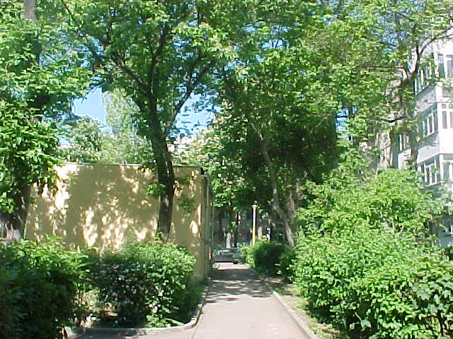 MVC-005S_1779203022577.JPG