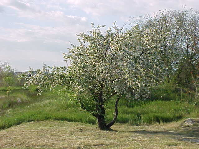 MVC-011S_1777909978276.JPG