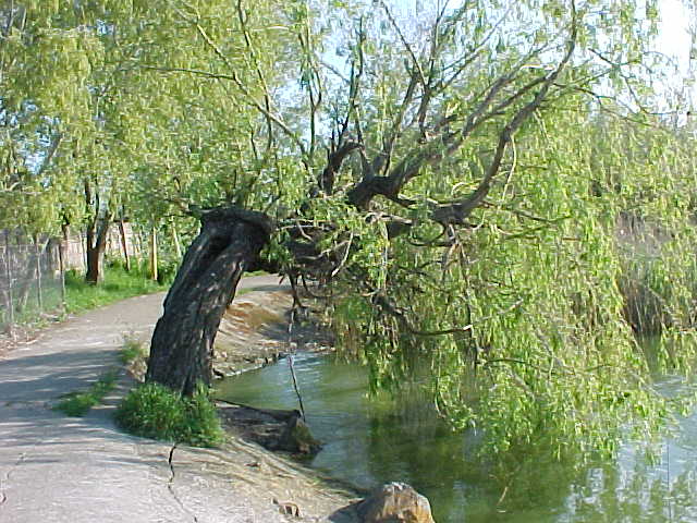 MVC-015S_1777909978280.JPG