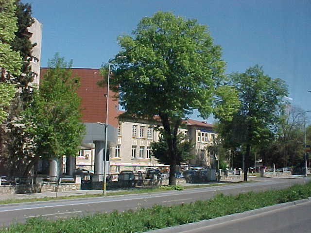 MVC-039S.JPG