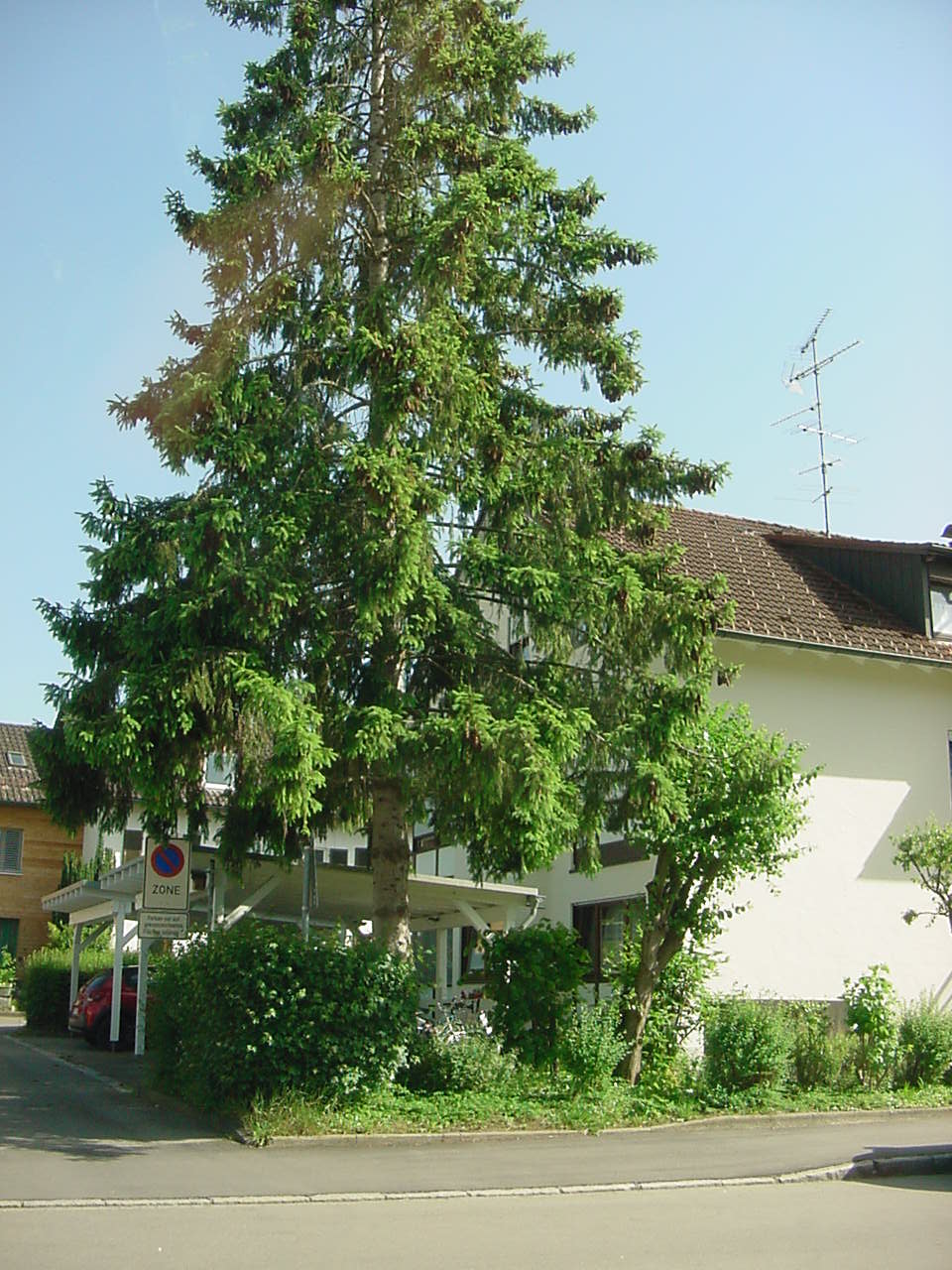 MVC-005F.JPG