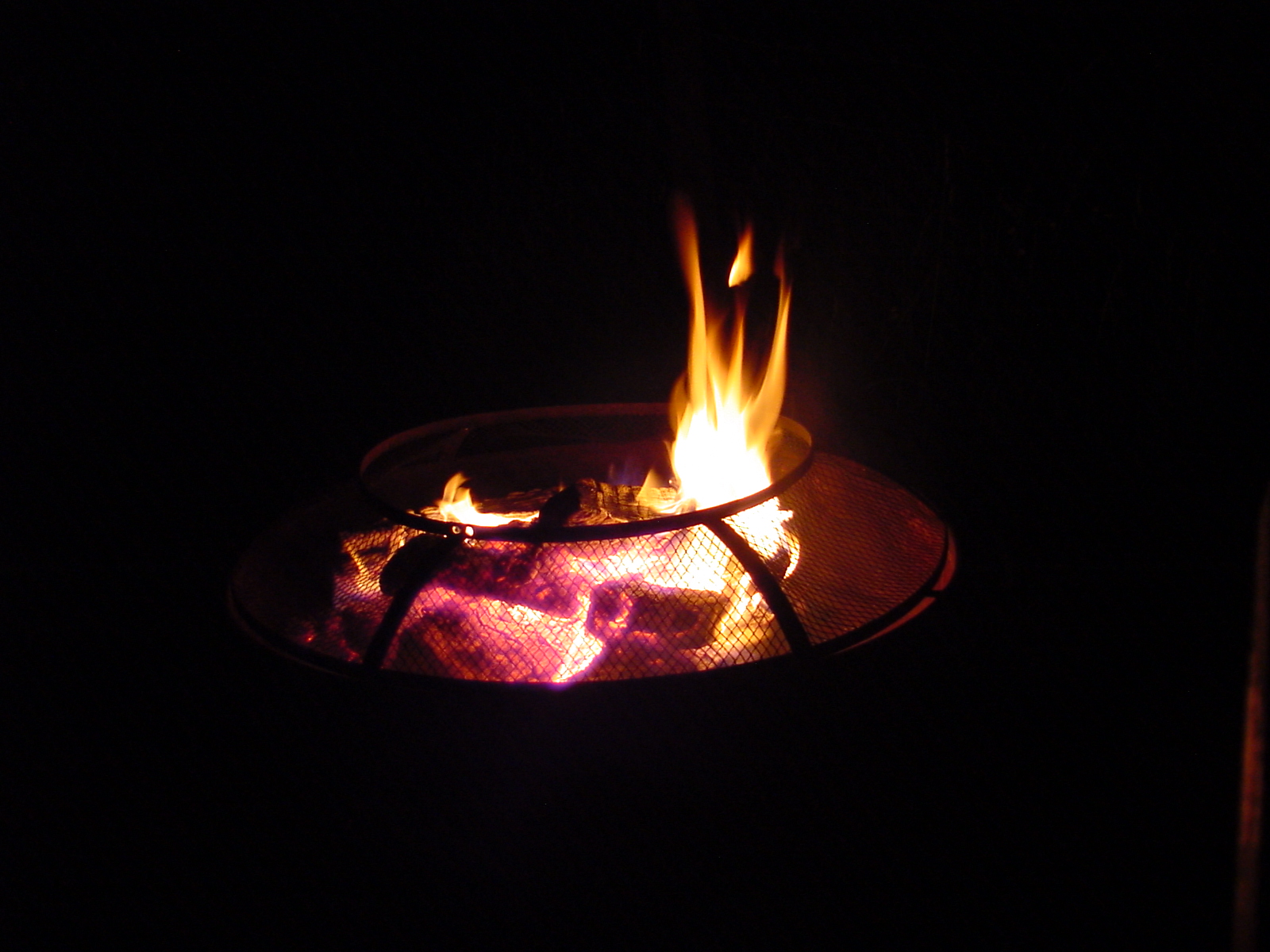 DSC00524.JPG