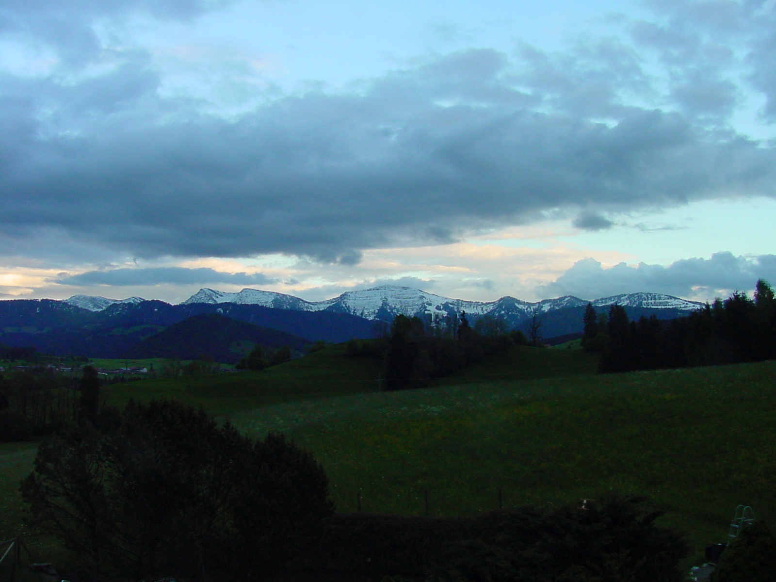 DSC00444_2.JPG