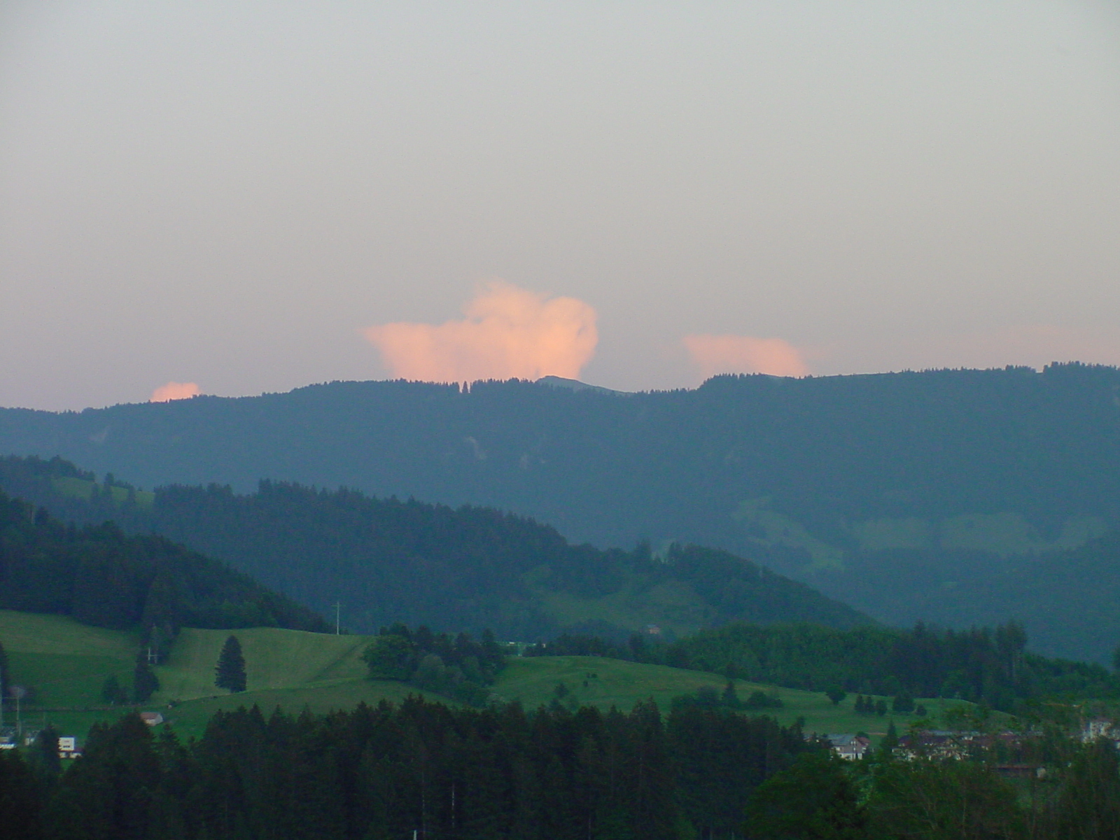 DSC00558.JPG