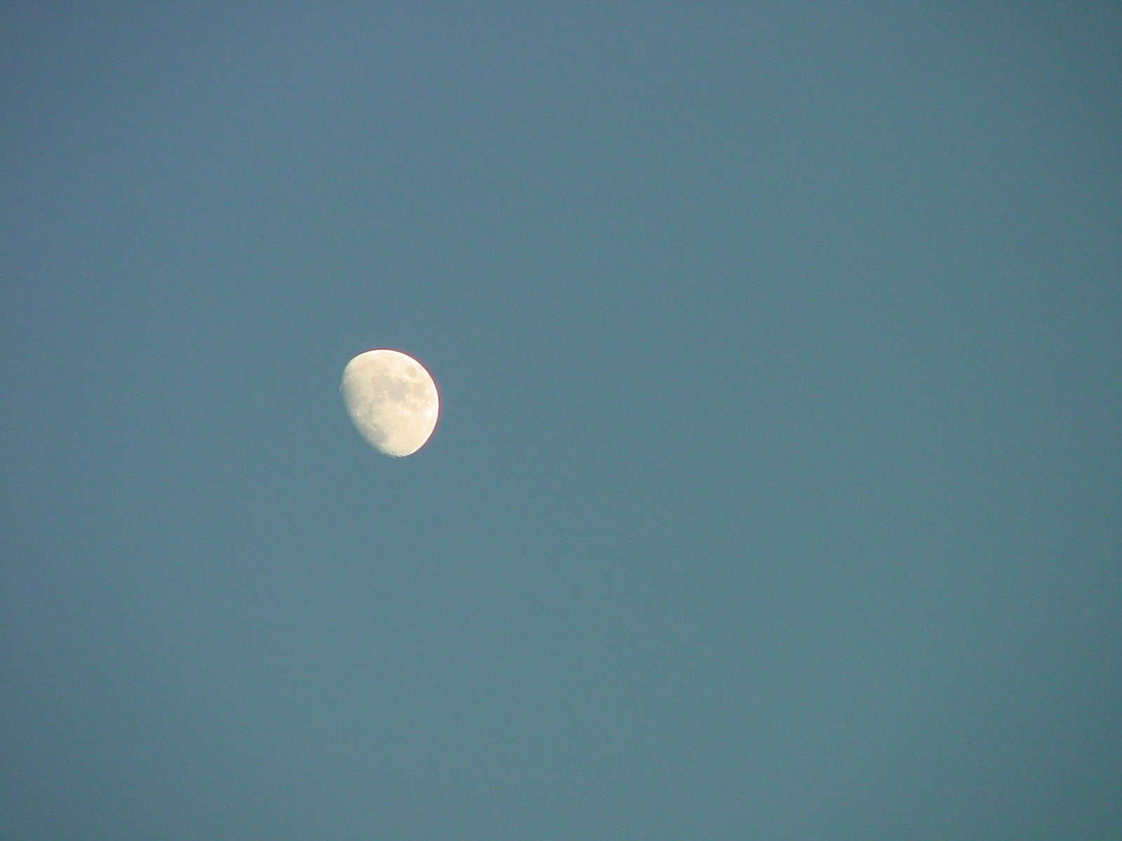 DSC00560.JPG