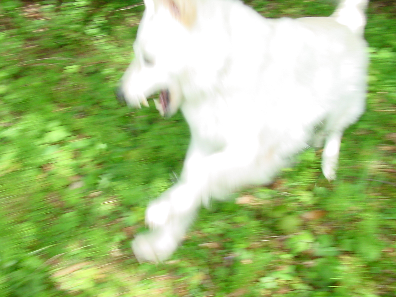 DSC00471.JPG