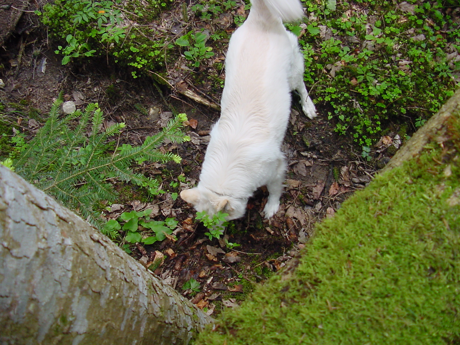 DSC00476.JPG