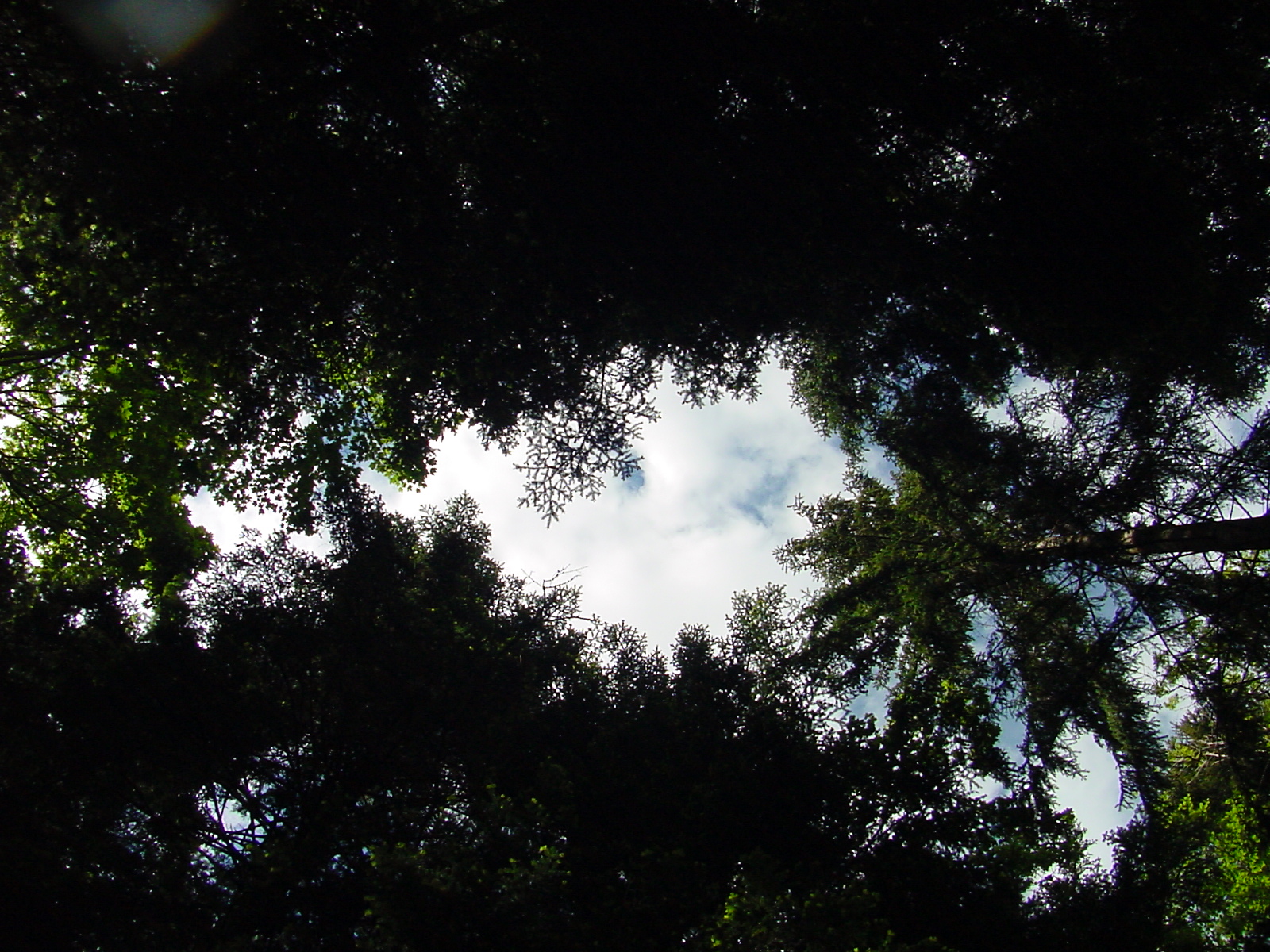 DSC00488.JPG