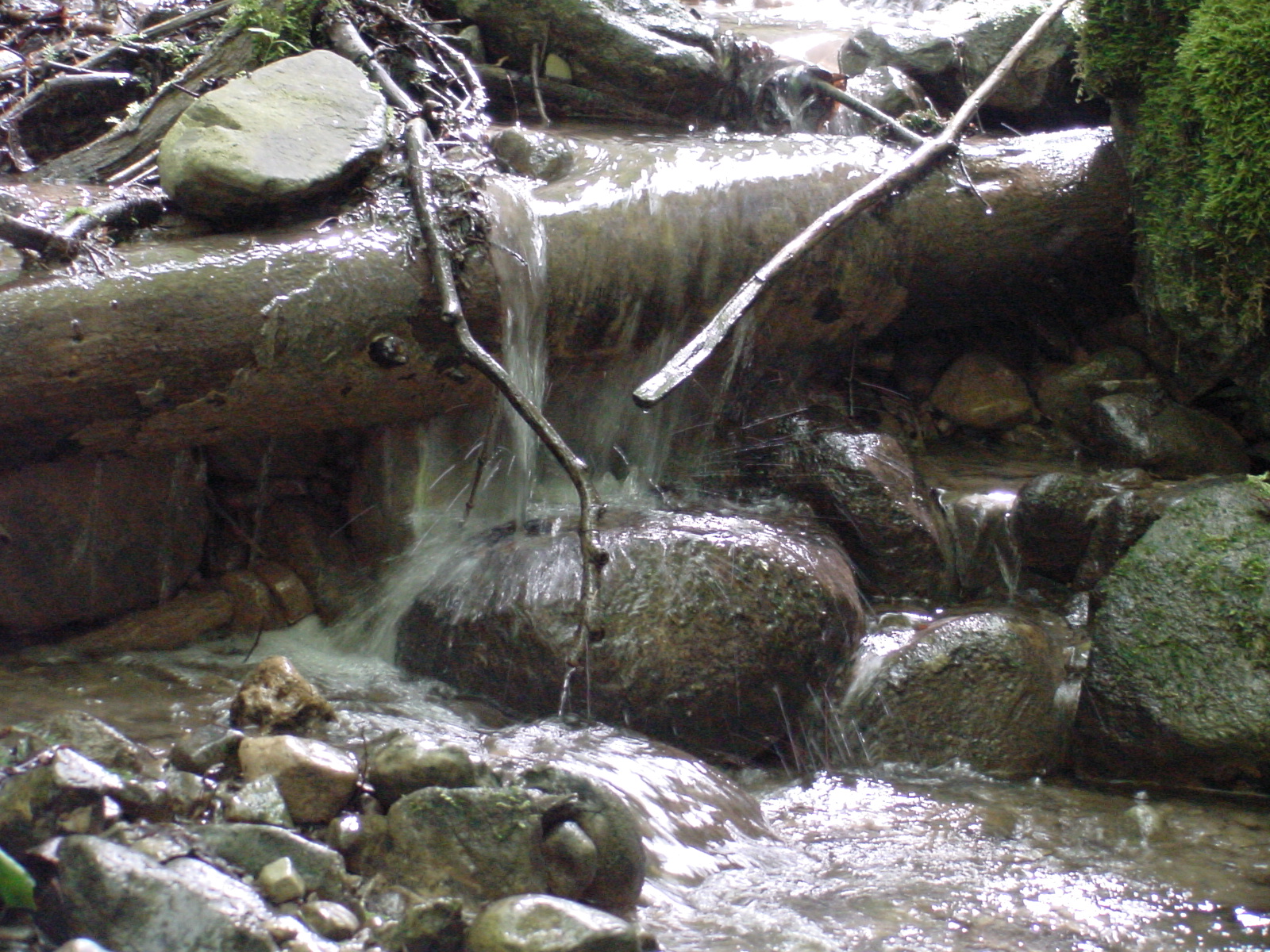 DSC00499.JPG