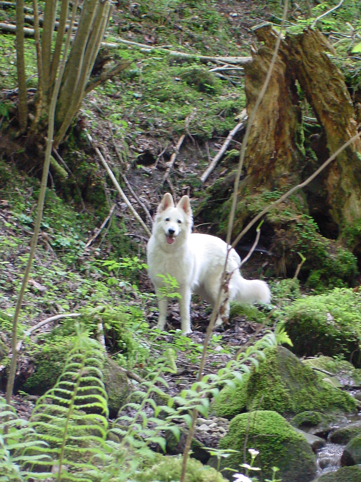 DSC00501.JPG