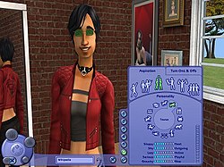 Create-a-Sim tool in *The Sims 2*